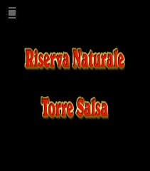 RISERVA NATURALE TORRE SALSA